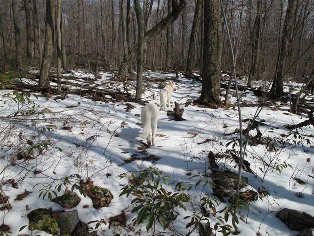 IMG_1444 (Small).JPG IMG_1444 (Small).JPG